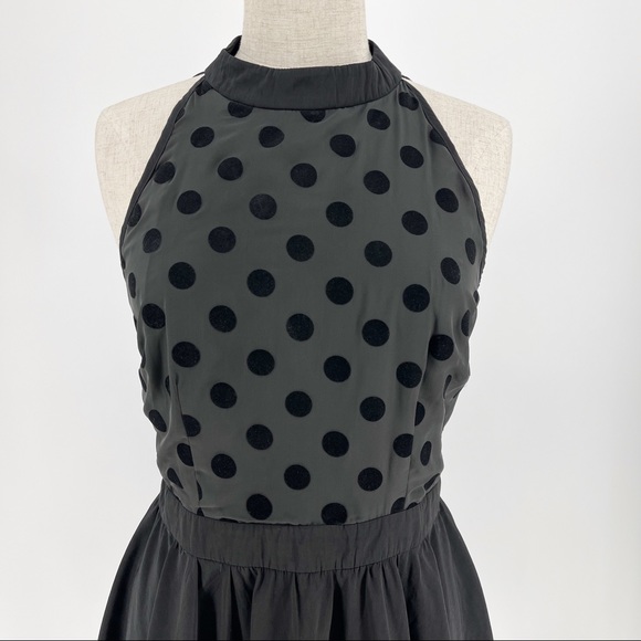 Camilla & Marc | Black Polka Dot Mini Dress - Picture 5 of 16